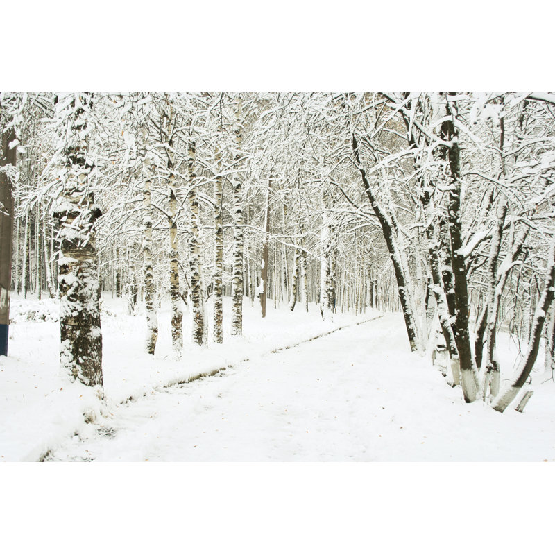 Forest Covered In Snow - Wrapped Canvas Print, 51cm H x 76cm W x 3.8cm D