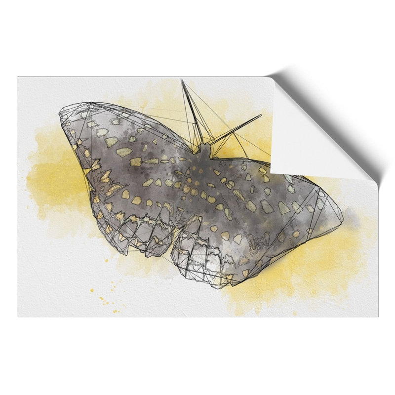 Butterfly Sketch - Frameless Print, 59cm H x 84cm W x 0.1cm D