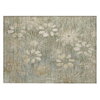 Machine Washable Indoor/Outdoor Kaczor ACN2225 Floral Rug