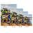 Seaside Vista-1276765655