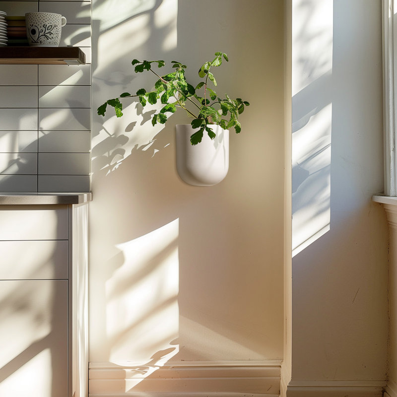 Elayna Venus 2 - Piece Plastic Wall Planter Set, Matte White