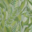 Japura Forest Wallpaper-1221670724