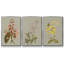 Botanical Array II - ensemble de 3 reproductions de photo sur toile-116332102-116332110