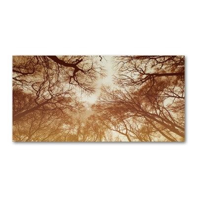 Forest - Wrapped Canvas Print