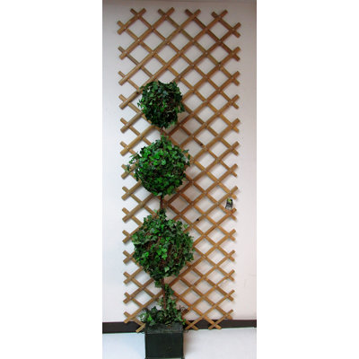 72'' W Wood Expanding Trellis