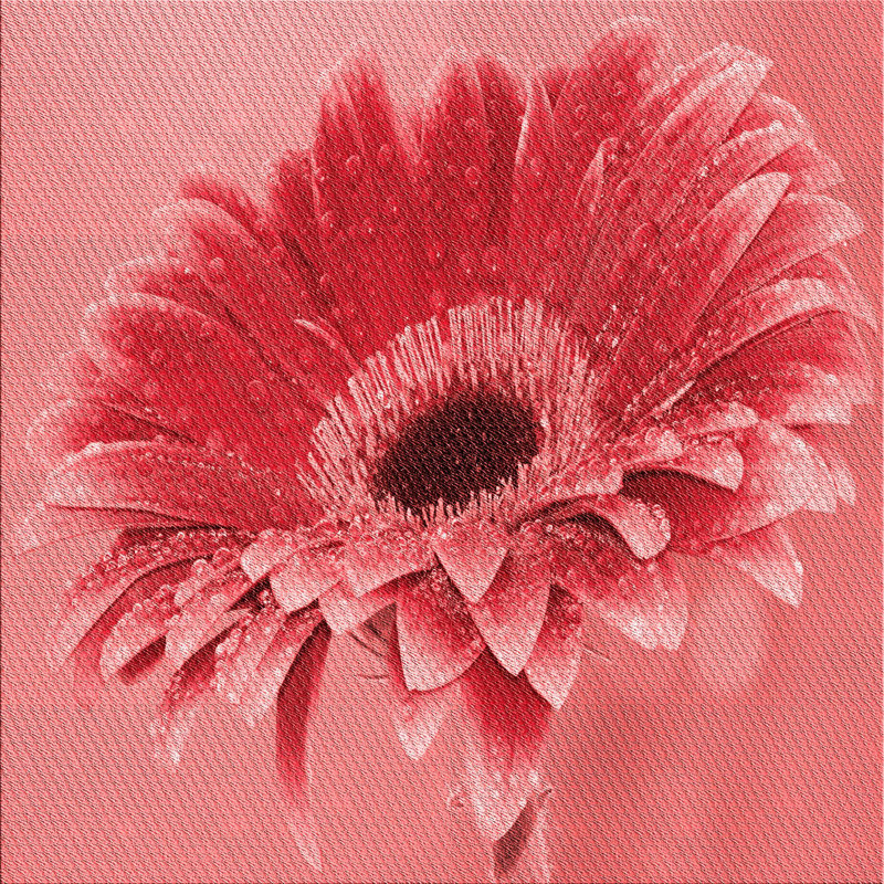 Floral Indoor Rug, Square 7'
