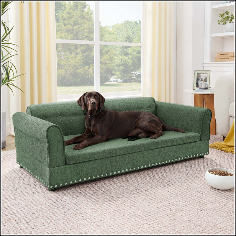 Canapé-lit surdimensionné pour chien surdimensionné avec dossier et accoudoirs pour chiens de grande taille (vert olive)