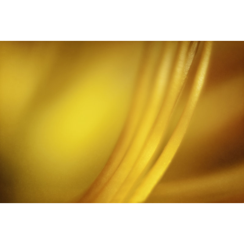 Filament Print by Scott Norris, 17.25" H x 21.25" W x 0.875" D