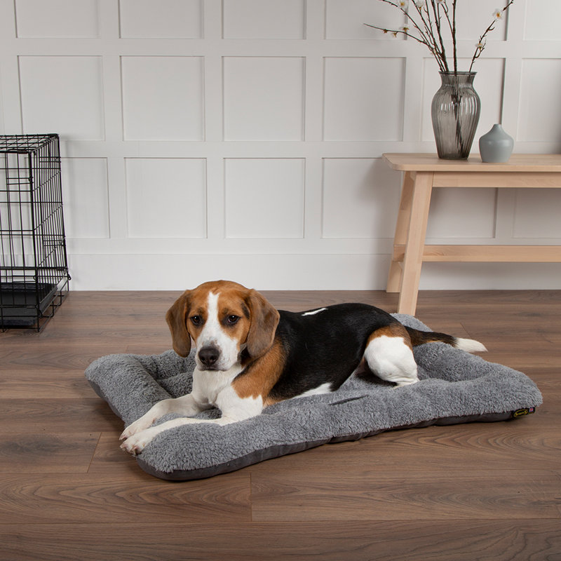 Cosy Polyester Pet Bed, Large (18-32kg)