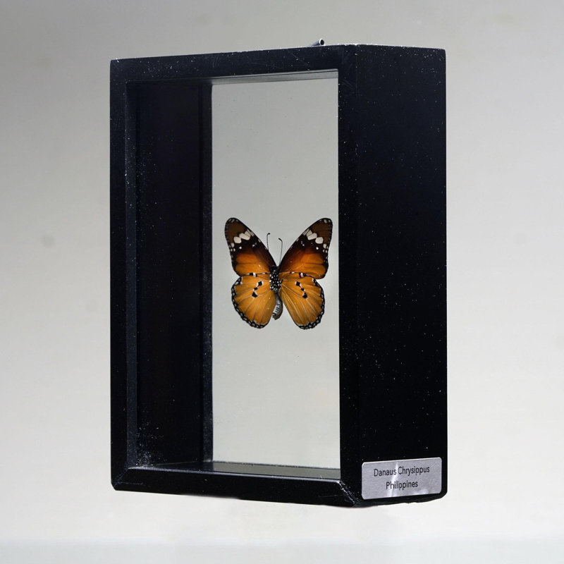 Beautiful Handmade Butterfly Box - Brown/Black
