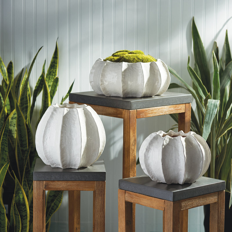 Chenery Ceramic Pot Planter, 8" H x 9.50" W x 9.50" D