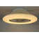 Crystiana Ceiling Fan with LED Lights