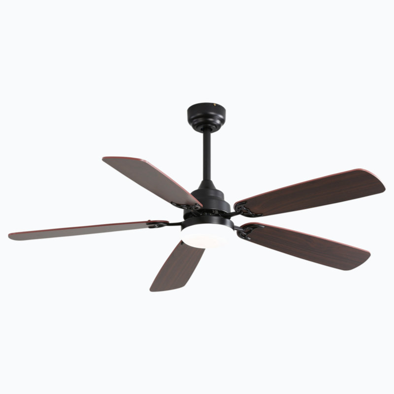 Mihane Ceiling Fan with LED Lights, Black, Brown