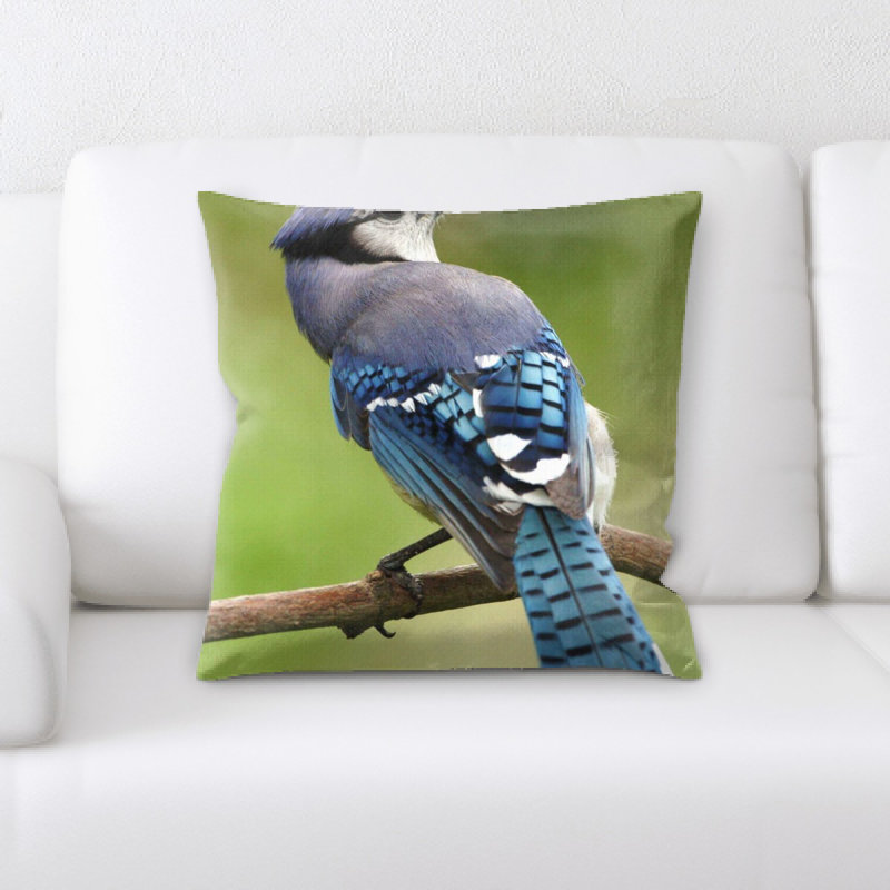 Coussin oiseau