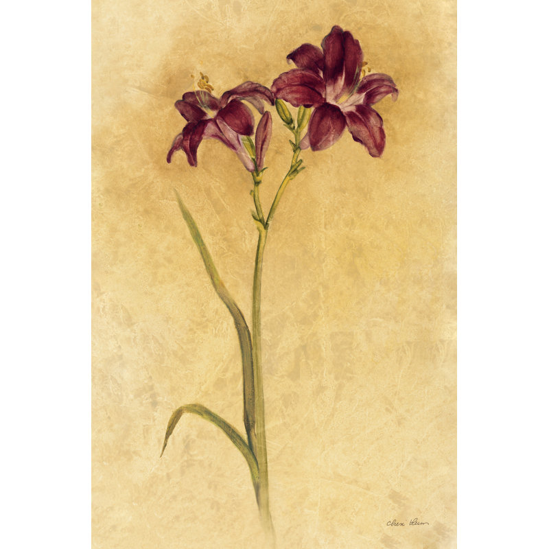«Purple Day Lily» sur toile par Cheri Blum, H 18 po x l 12 po