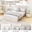 Queen Size Bed Frame w/Storage Drawer & Vertical Channel Headboard-1391809844