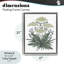 Cadre flottant rétro New Roots, conception par Cecilia Battaini-79777943-79779691