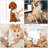 2 in 1 Pet Hair Dryer