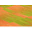 Hand Woven Wool Area Rug
