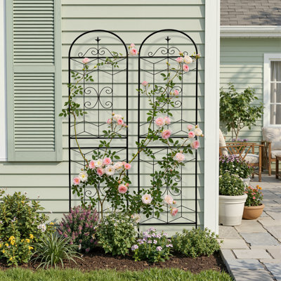 Ensemble de 2 treillis métalliques d'extérieur, treillis hauts autoportants pour plantes grimpantes, treillis de jardin pour tomates, roses et vignes