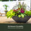 Pot à fleurs 20 po Mayne Evolve-1173114617