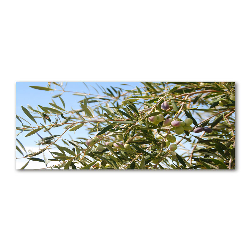 Olive Tree - Wrapped Canvas Print