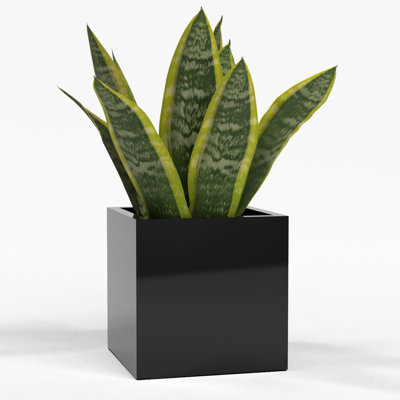 Greenline Fiberglass Jack Small Indoor/Outdoor Square Cube Planter - 7 in x 7 in x 7 in -