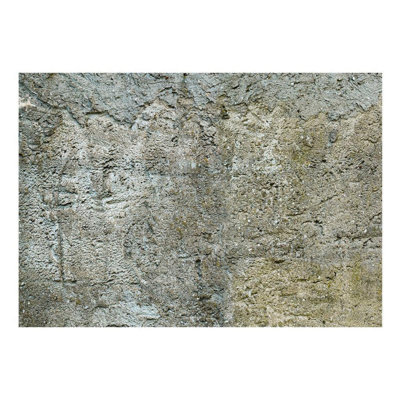 Wall Mural