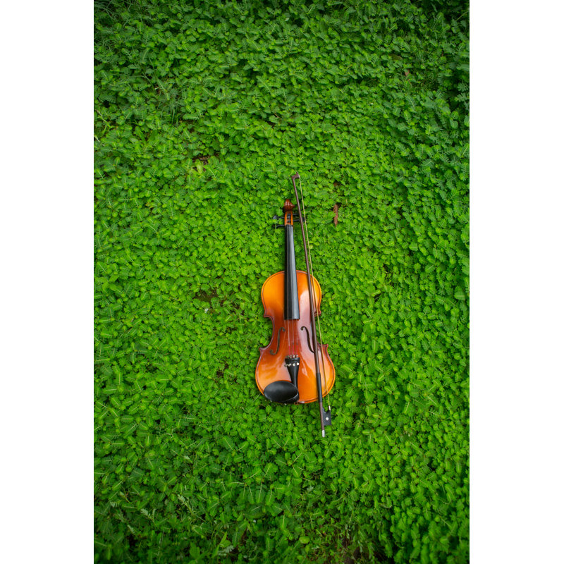 Violin in Nature 1 Piece Wrapped Canvas Wall Art, 91cm H x 61cm W x 3.8cm D