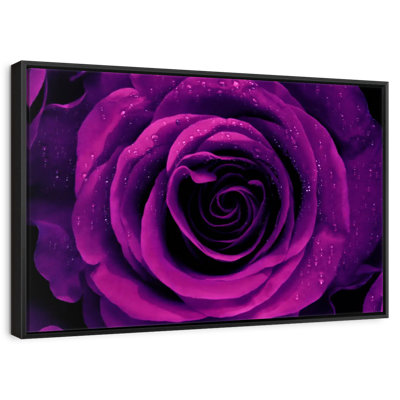 Dewy Purple Rose