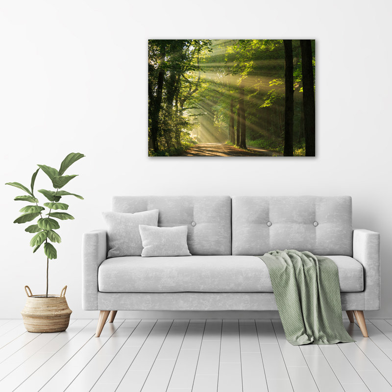 Forest In The Sun - Unframed Art Prints on Glass