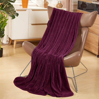 Abiram Plain Weave / Muslin Throw Blanket