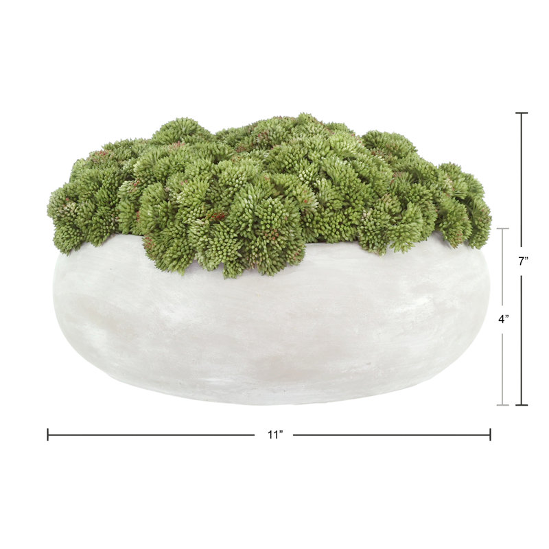 Sedum Arranged in a Stone Planter, 7" H x 11" W x 11" D, Light Green