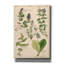 «Scrophularineae» par Art Licensing Studio, art mural sur toile