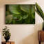 Toile tendue Arboreal Refuge-Gallery-832907217