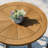 Modway Meadow 27.5 L x 27.5 W Dining Table