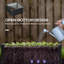 Raised Garden Bed