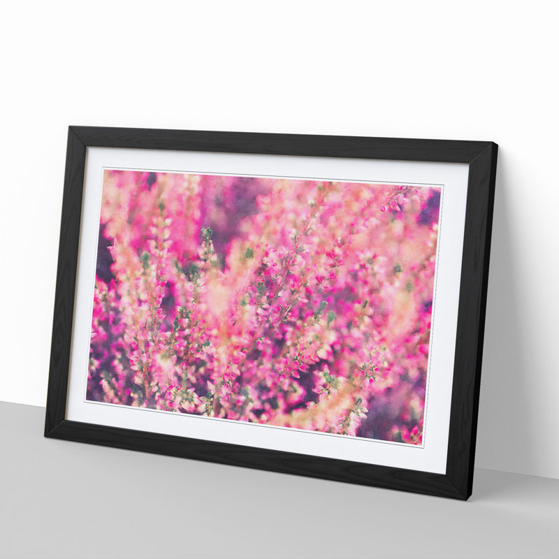 Pink Heather - Picture Frame Graphic Art, 48cm H x 65cm W x 2cm D, Black Framed