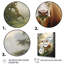Cow Contemplation - Animals Wall Art Prints-961907200-961907455