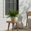 Outdoor UV-Rated Fern in Fiberstone Pot-748258957