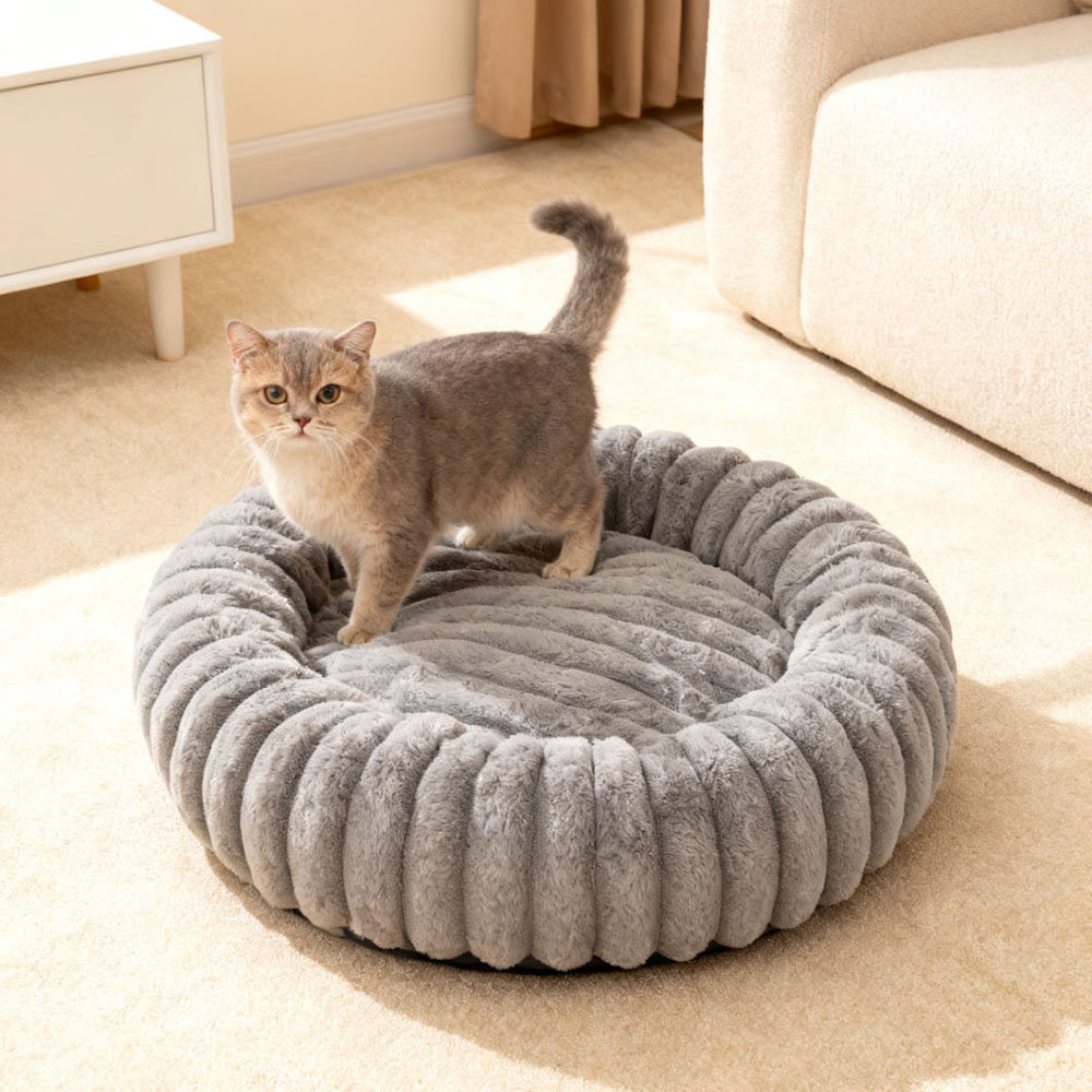 Pet Bed