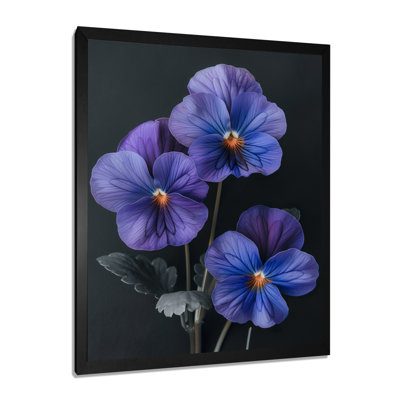 Pensées mauves et noires fleurs velours Vibes II - pensées murales
