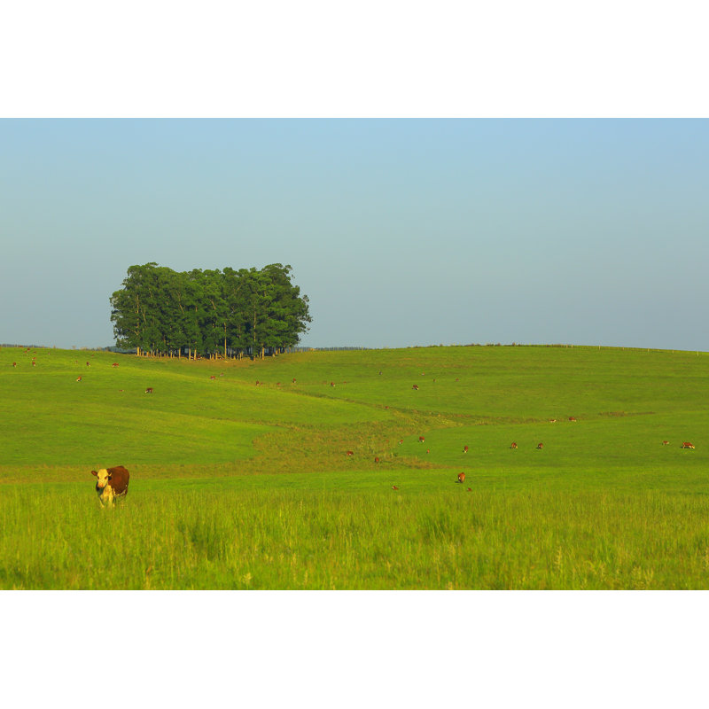 Cow And Trees by Agustavop - No Frame Art Prints on Canvas, 61cm H x 91cm W