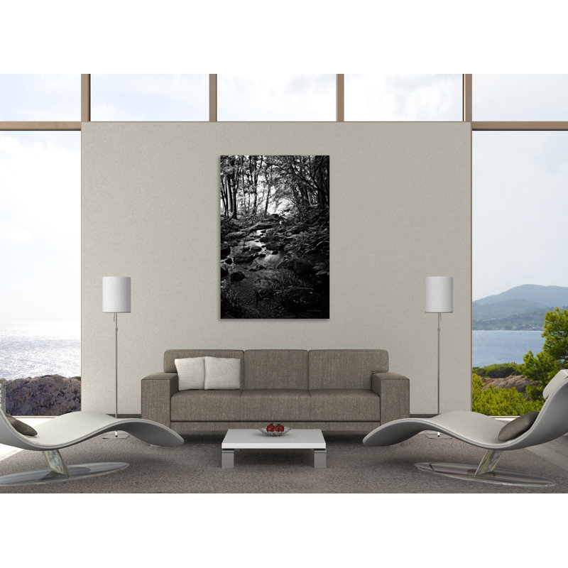 "Lush Creek In Forest BW", toile tendue par Debra Van Swearingen, H 30 po x l 20 po x P 1,5 po