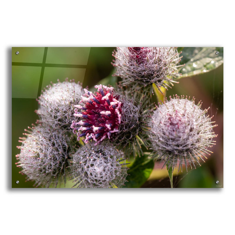 " Autumn 09 " Print, 24" H x 36" W x 0.2" D
