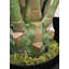 Fausse agave botanique au fini vert-1972928994