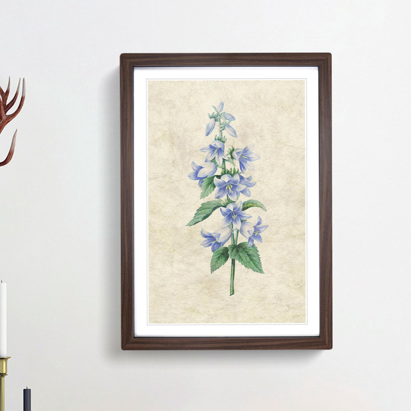 Bellflowers by Pierre-Joseph Redoute - Framed Print, Walnut Framed, 48cm H x 36cm W x 2cm D