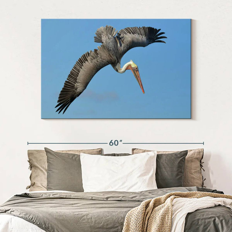 Crowle Pelican In The Air