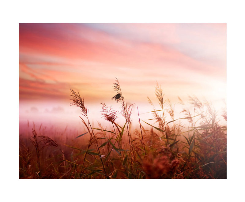 Kattick Summer Sunset  Wall Mural Non-pasted, 10.14' L x 154.3" W