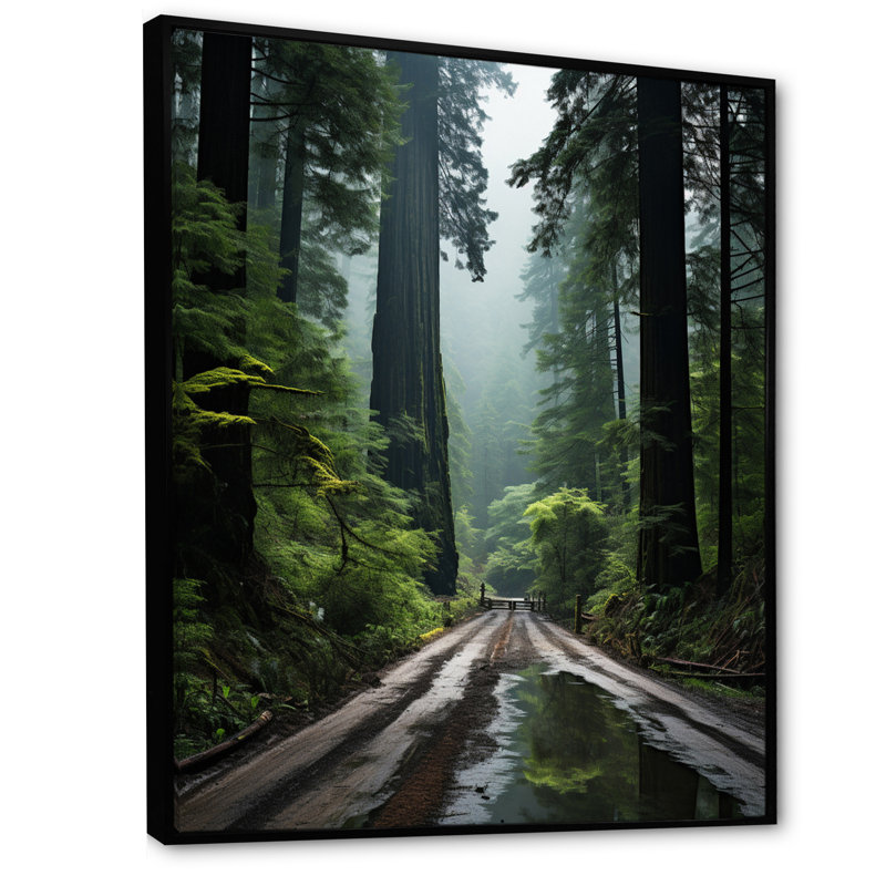 États-Unis, Jedediah Smith, forêt de séquoias, reproduction sur toile, H 20 po x l 12 po x P 1 po, Cadre flottant noir